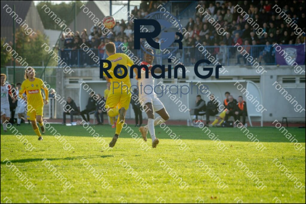 25102026-_RGN0541