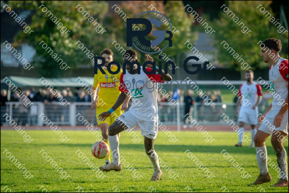 25102026-_RGN0618