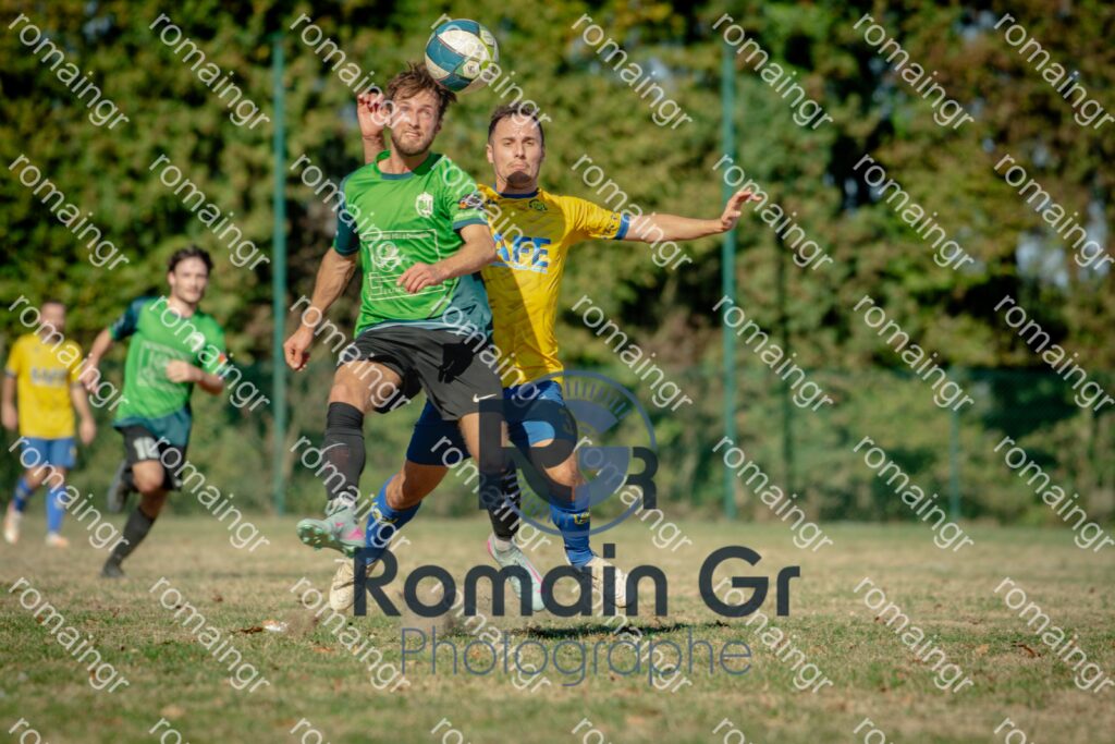 _RGN8131